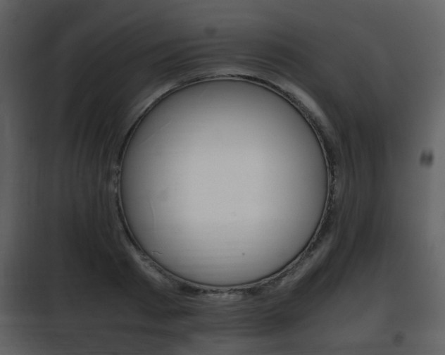 X0000101960793200807180701