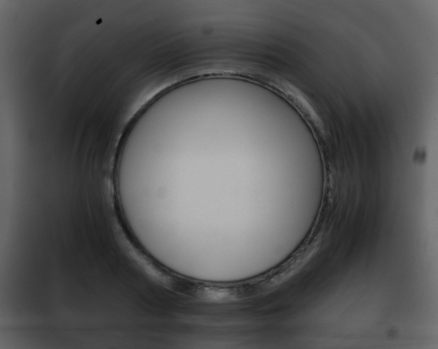 X0000101960794200807180701