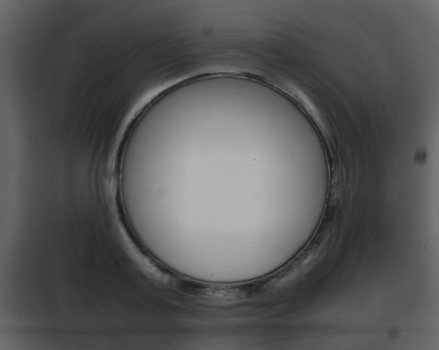 X0000101960795200807180701