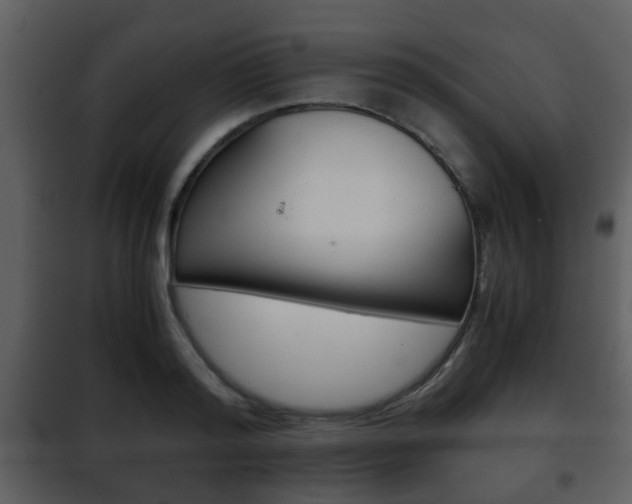 X0000101960796200807180701