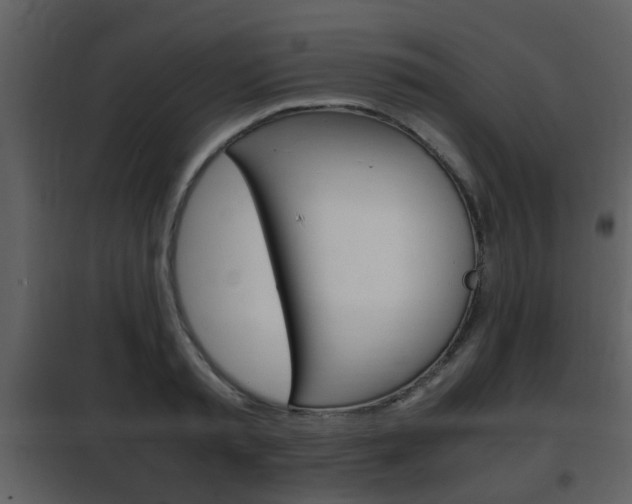 X0000101960797200807180701