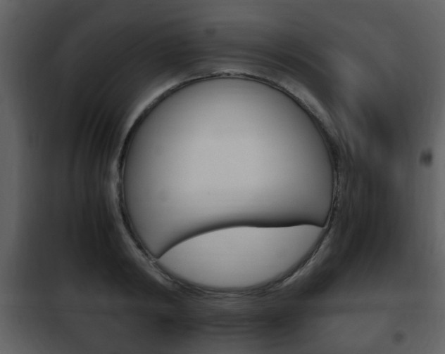 X0000101960798200807180701