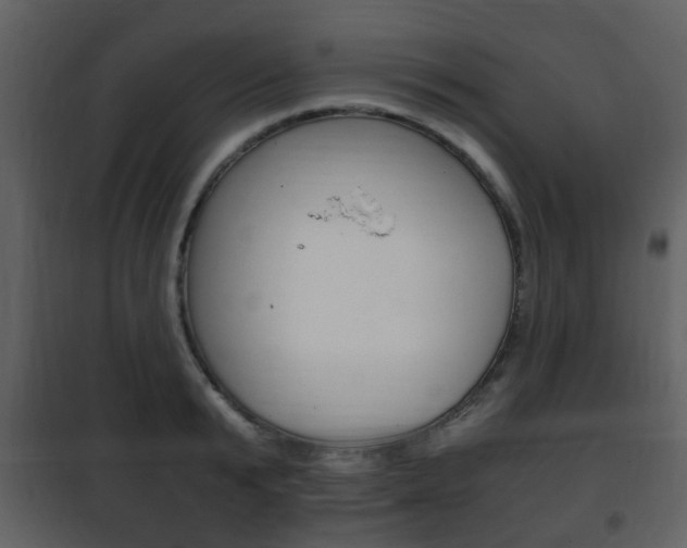X0000101960799200807180701