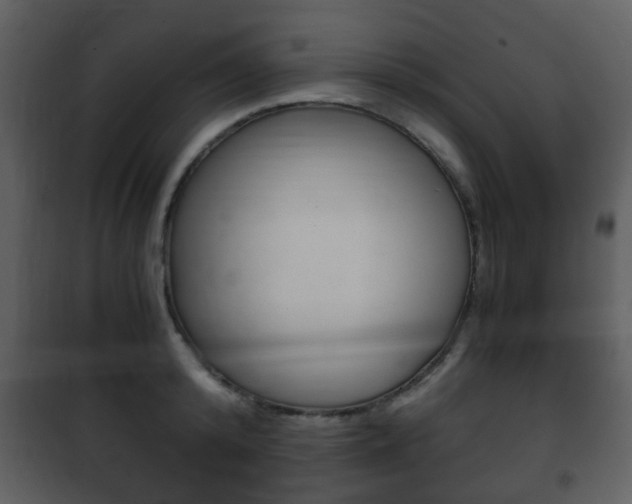 X0000101960800200807180701