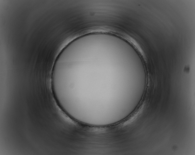 X0000101960802200807180701