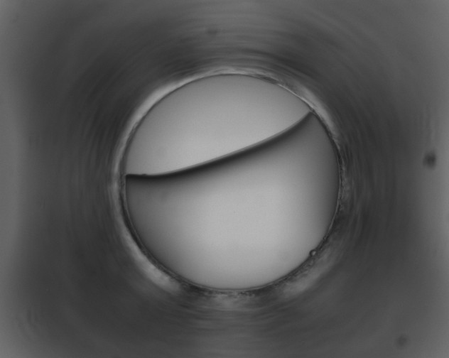 X0000101960803200807180701