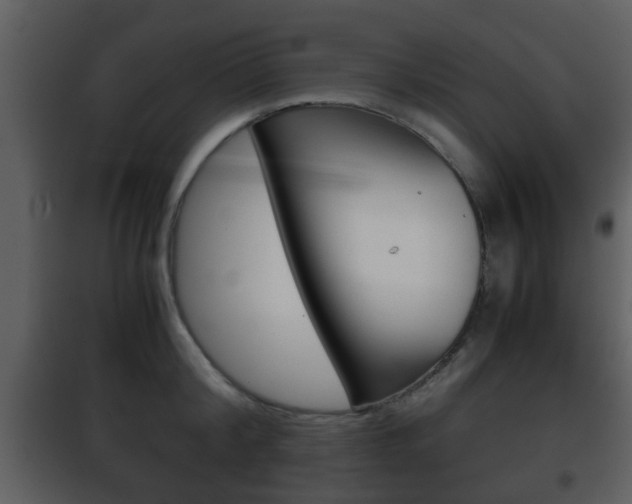 X0000101960804200807180701