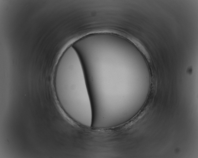X0000101960805200807180701