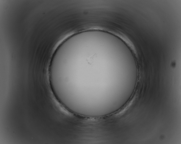 X0000101960806200807180701