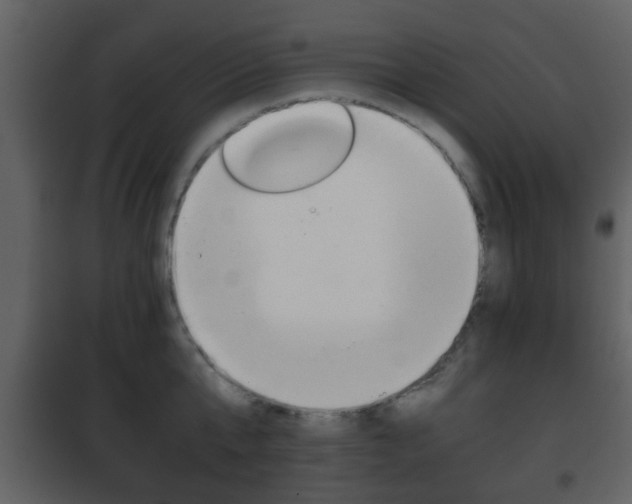 X0000101960807200807180701