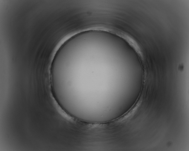 X0000101960808200807180701