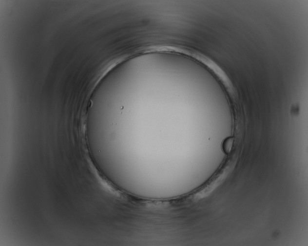 X0000101960809200807180701
