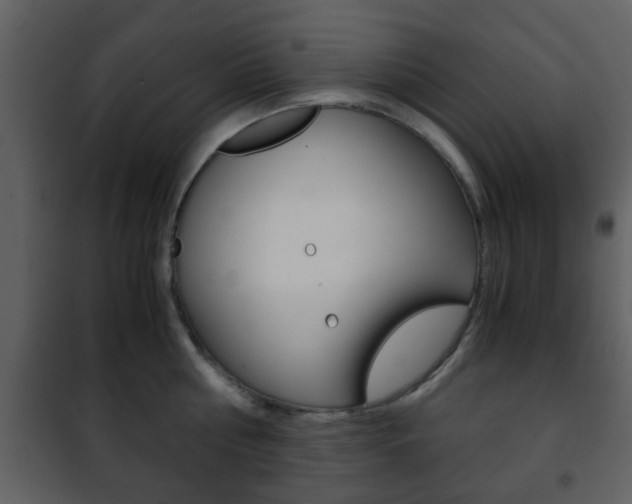 X0000101960810200807180701