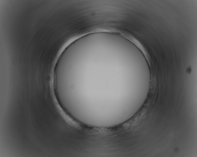 X0000101960811200807180701