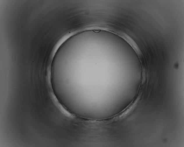 X0000101960812200807180701