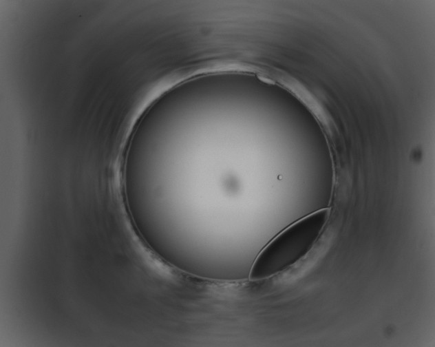 X0000101960813200807180701