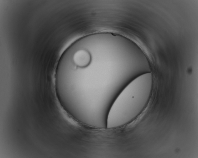 X0000101960814200807180701