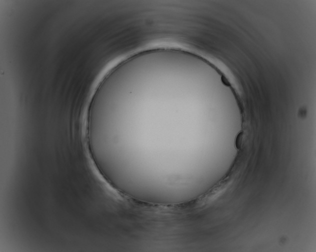 X0000101960815200807180701