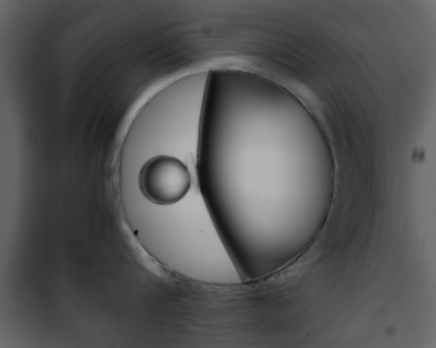 X0000101960816200807180701