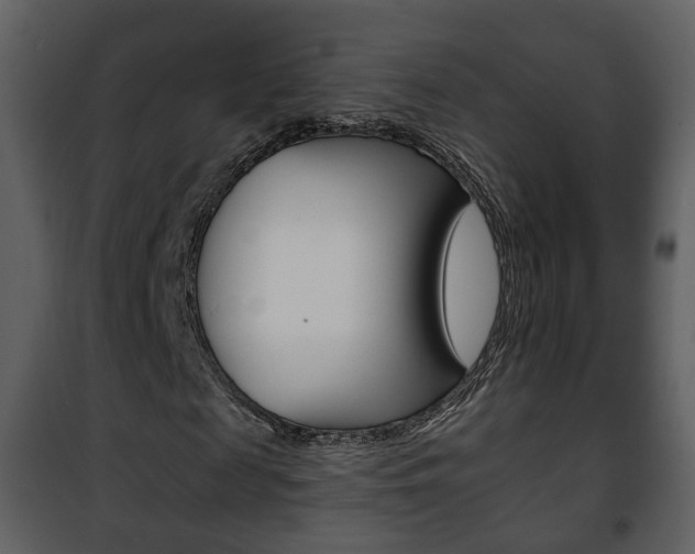X0000101960817200807180700