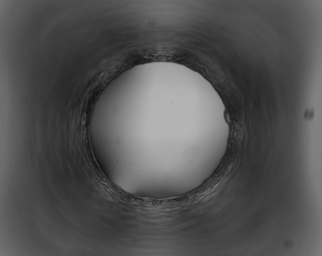 X0000101960818200807180700