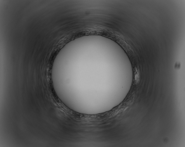 X0000101960819200807180700