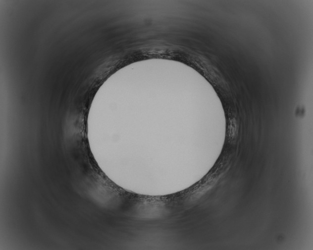 X0000101960820200807180700