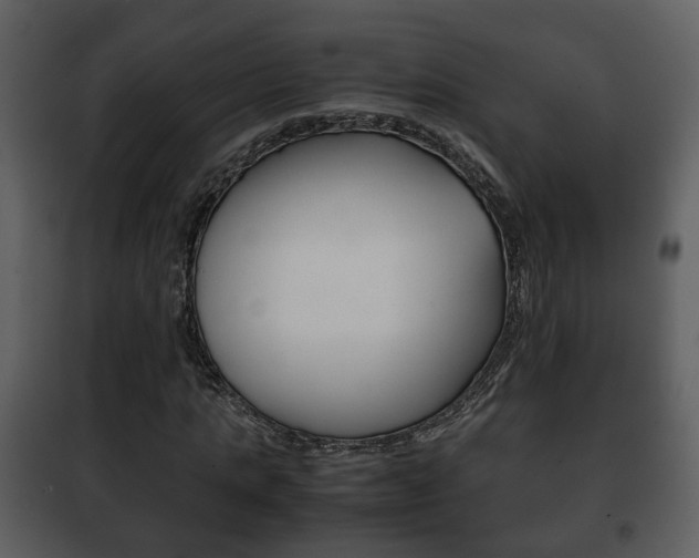 X0000101960821200807180700