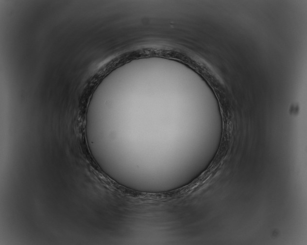 X0000101960822200807180700