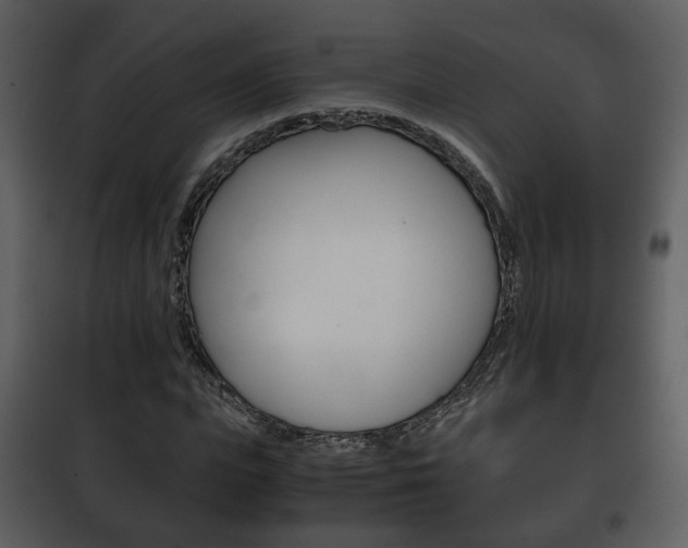 X0000101960823200807180700