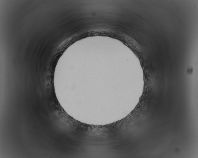 X0000101960824200807180700