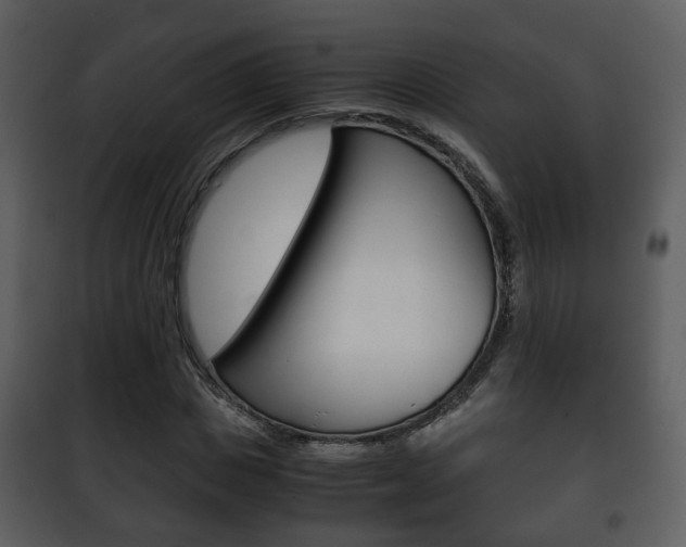 X0000101960825200807180700