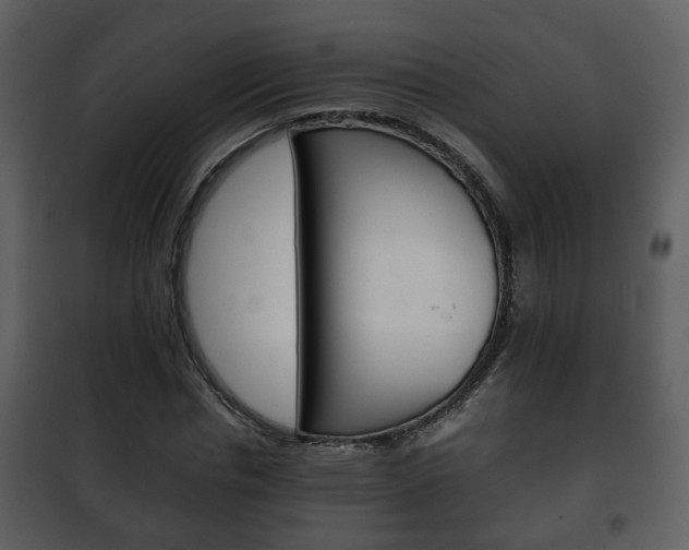 X0000101960826200807180700