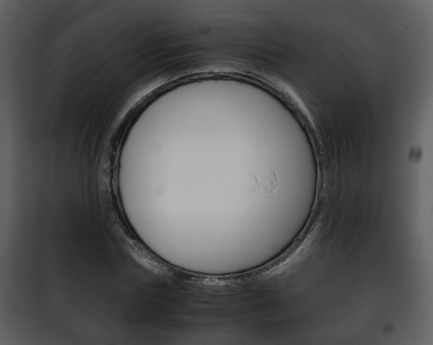 X0000101960827200807180700