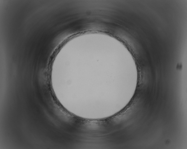 X0000101960828200807180700