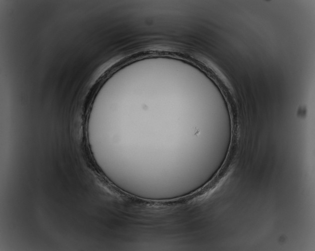 X0000101960829200807180700