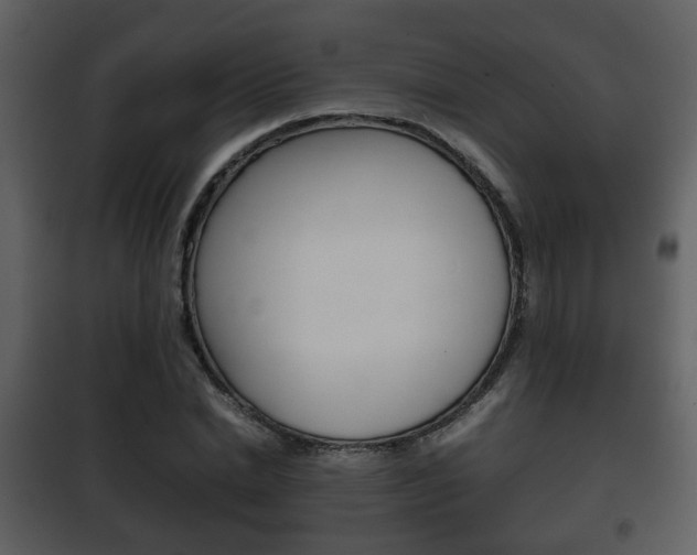 X0000101960830200807180700