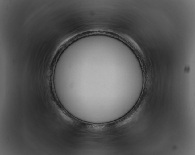 X0000101960831200807180700