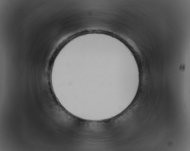X0000101960832200807180700