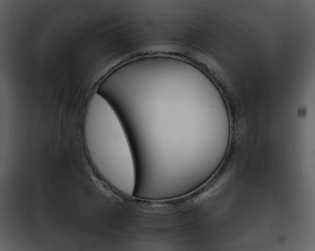 X0000101960833200807180700