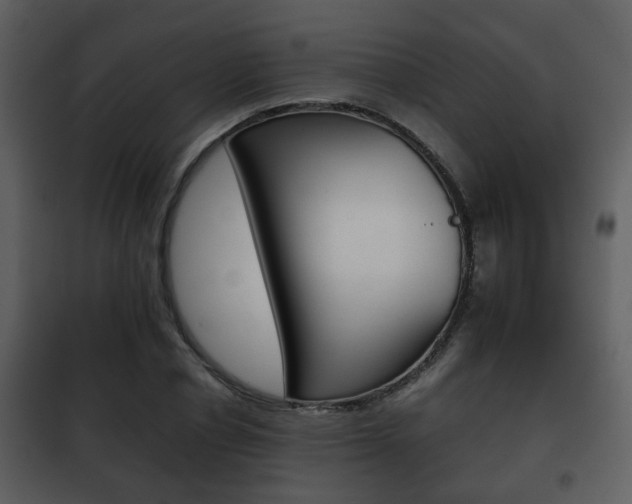 X0000101960834200807180700