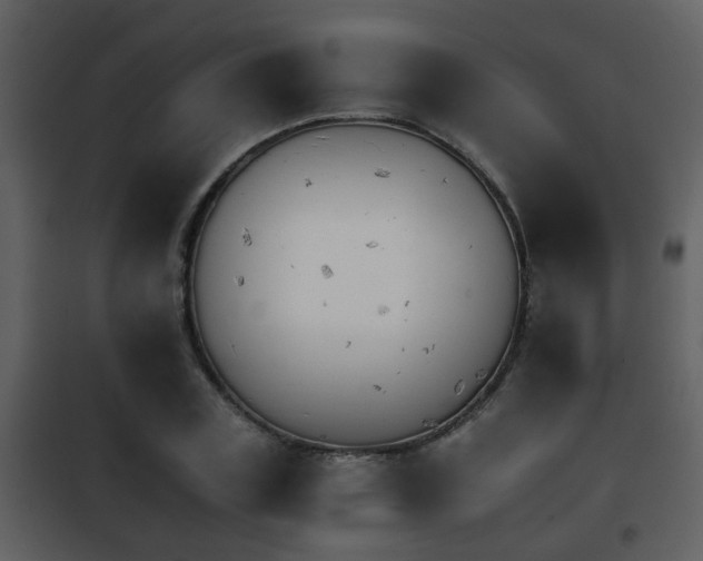 X0000101960835200807180700