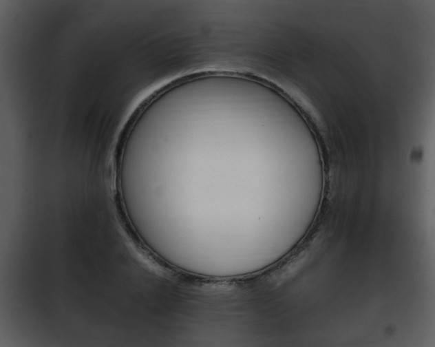 X0000101960838200807180700