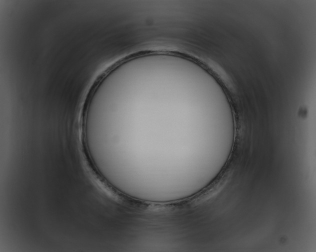 X0000101960840200807180700