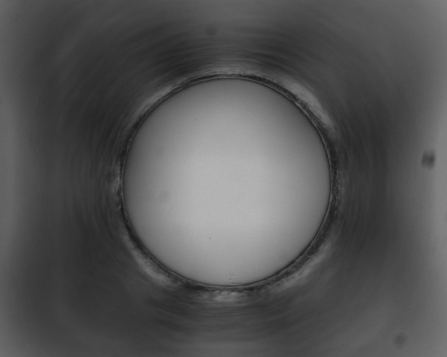 X0000101960841200807180700