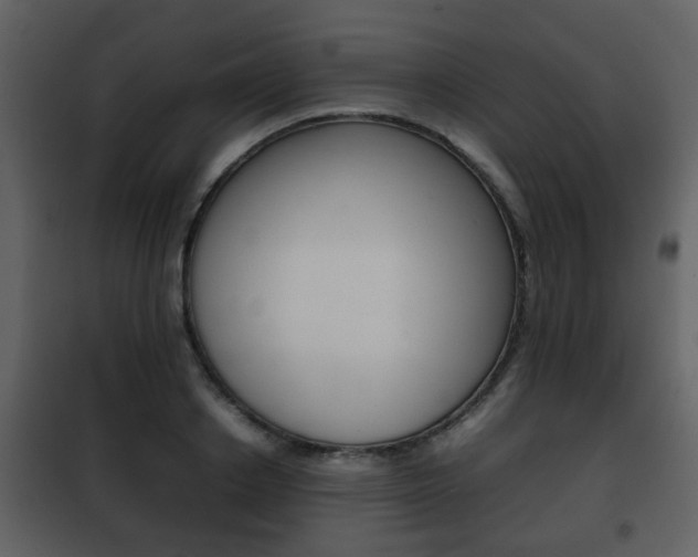 X0000101960842200807180700