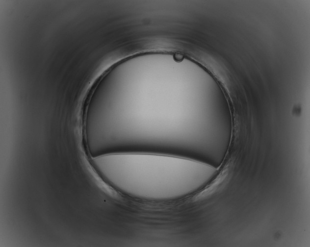 X0000101960843200807180700