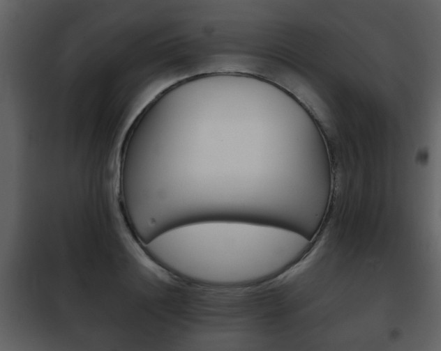 X0000101960844200807180700