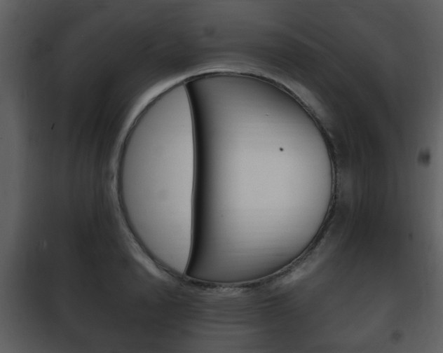 X0000101960846200807180700