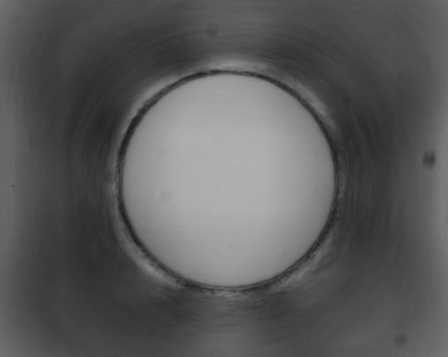 X0000101960848200807180700